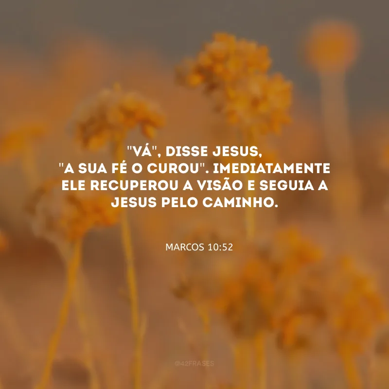 \"Vá\", disse Jesus, \"a sua fé o curou\". Imediatamente ele recuperou a visão e seguia a Jesus pelo caminho.