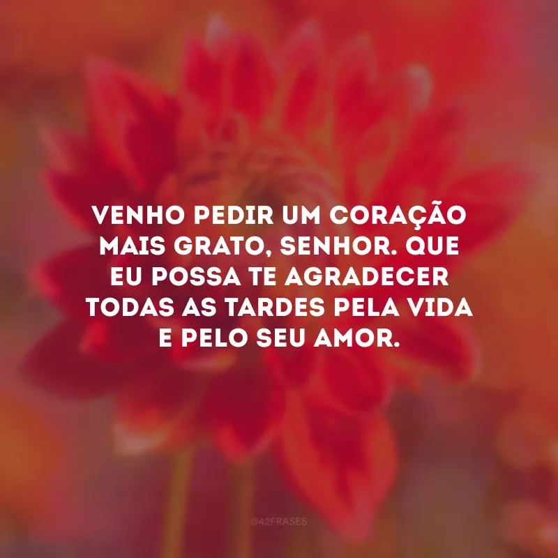 Venho pedir um coração mais grato, Senhor. Que eu possa Te agradecer todas as tardes pela vida e pelo Seu amor.