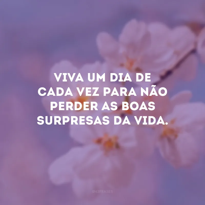 Viva um dia de cada vez para não perder as boas surpresas da vida. 