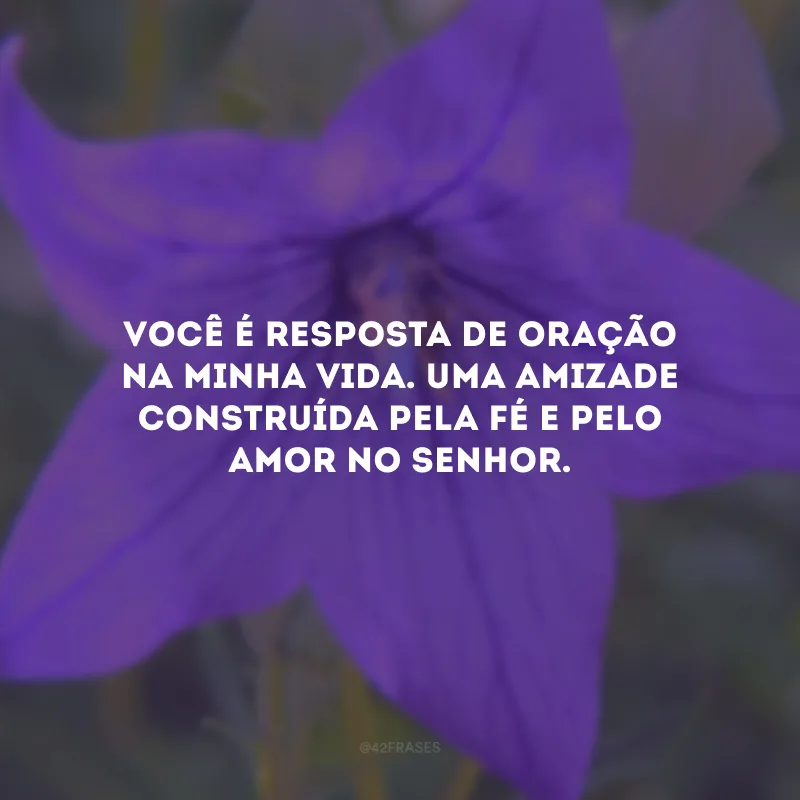 Você é resposta de oração na minha vida. Uma amizade construída pela fé e pelo amor no Senhor.