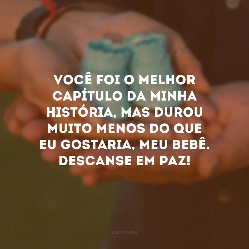 Você foi o melhor capítulo da minha história, mas durou muito menos do que eu gostaria, meu bebê. Descanse em paz!