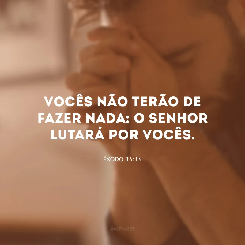 Vocês não terão de fazer nada: o Senhor lutará por vocês.