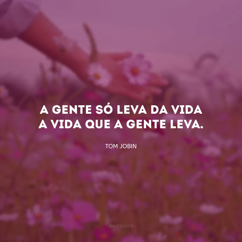 A gente só leva da vida a vida que a gente leva.
