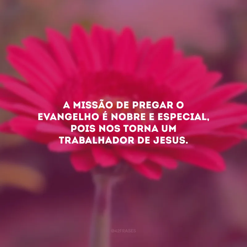 A missão de pregar o evangelho é nobre e especial, pois nos torna um trabalhador de Jesus.