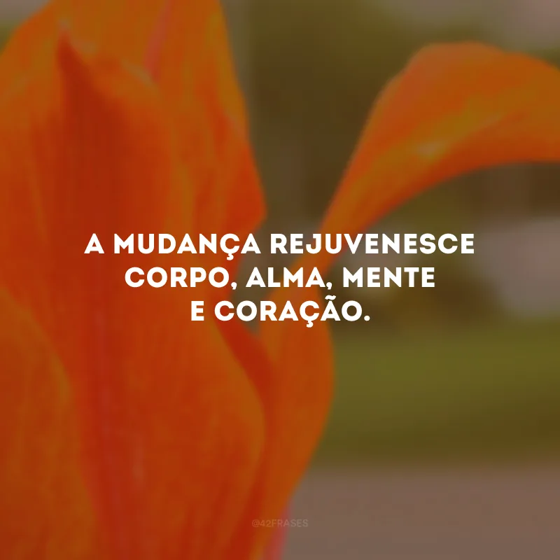A mudança rejuvenesce corpo, alma, mente e coração. 