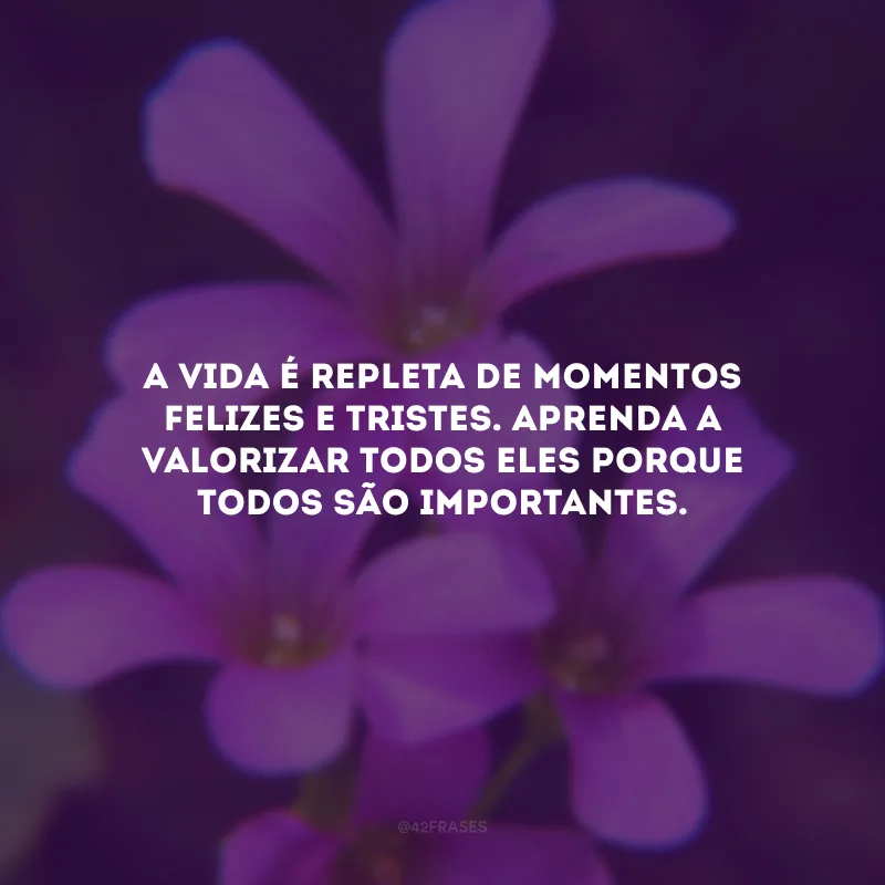 A vida é repleta de momentos felizes e tristes. Aprenda a valorizar todos eles porque todos são importantes.
