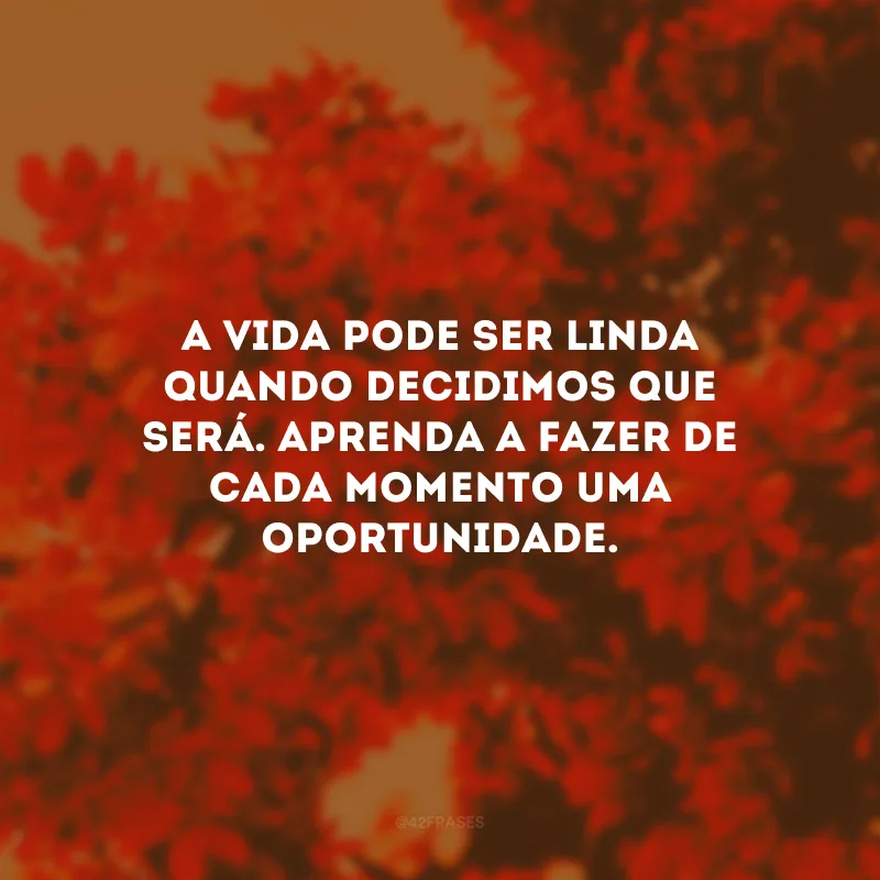 A vida pode ser linda quando decidimos que será. Aprenda a fazer de cada momento uma oportunidade.