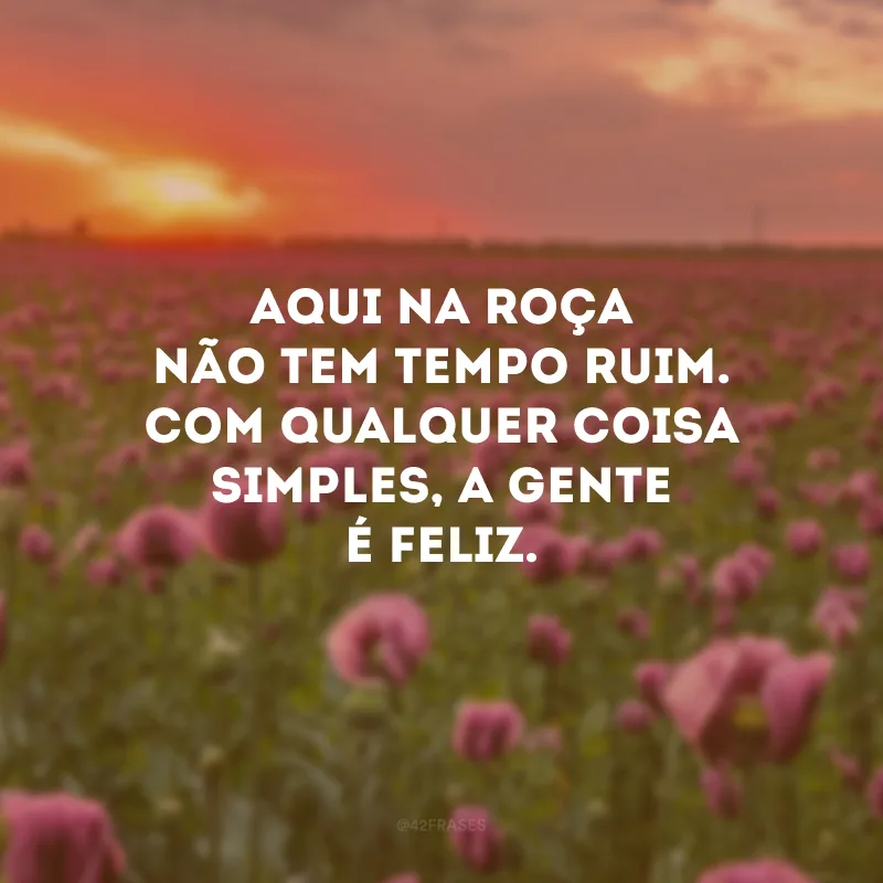 Aqui na roça não tem tempo ruim. Com qualquer coisa simples, a gente é feliz.