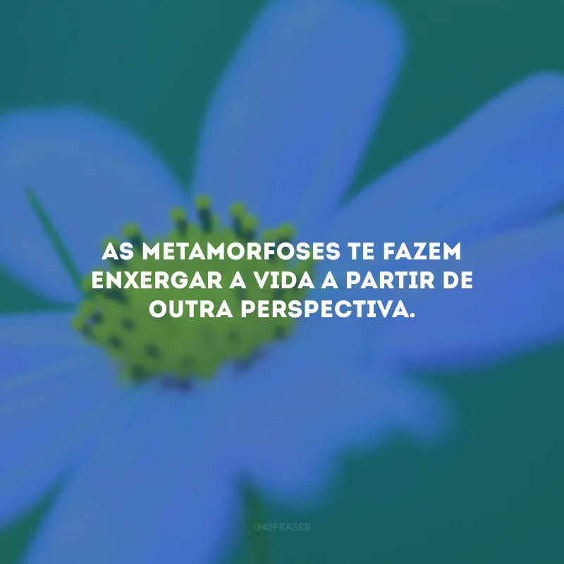 As metamorfoses te fazem enxergar a vida a partir de outra perspectiva. 