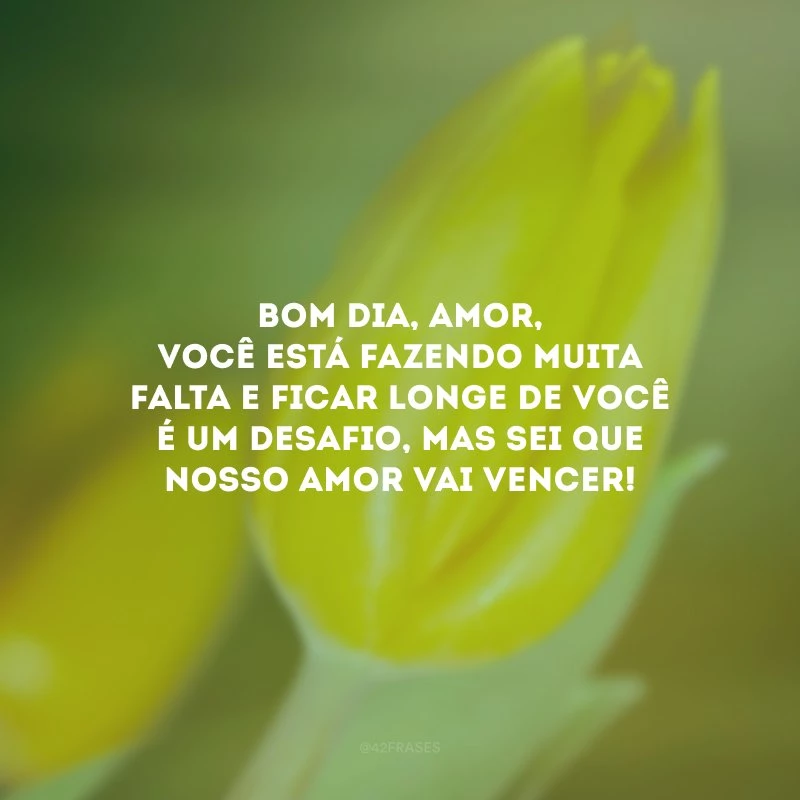 Bom dia, amor, você está fazendo muita falta e ficar longe de você é um desafio, mas sei que nosso amor vai vencer!
