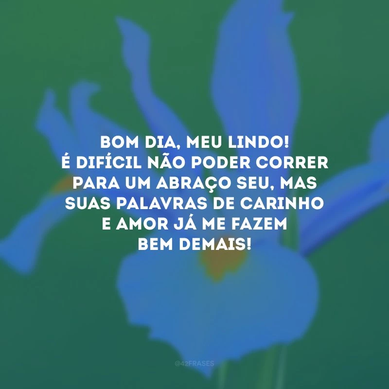 Bom dia, meu lindo! É difícil não poder correr para um abraço seu, mas suas palavras de carinho e amor já me fazem bem demais!