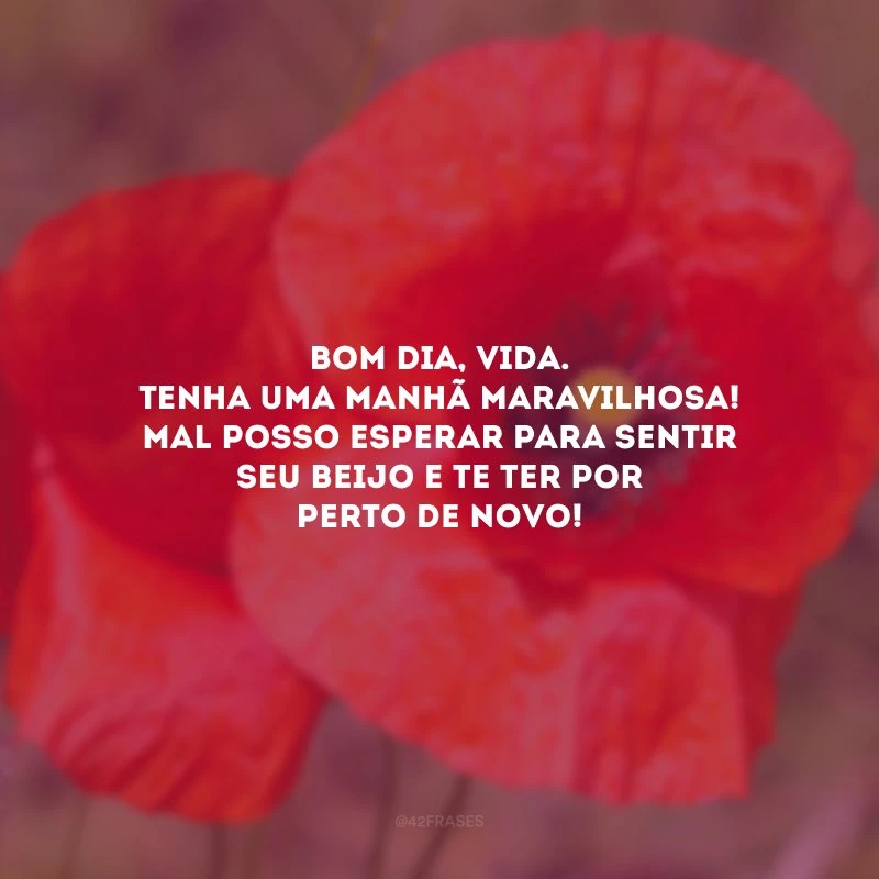 Bom dia, vida. Tenha uma manhã maravilhosa! Mal posso esperar para sentir seu beijo e te ter por perto de novo!