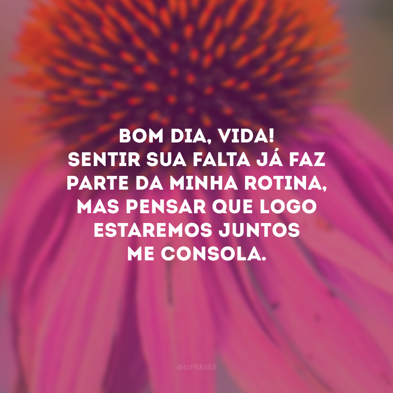 Bom dia, vida! Sentir sua falta já faz parte da minha rotina, mas pensar que logo estaremos juntos me consola.