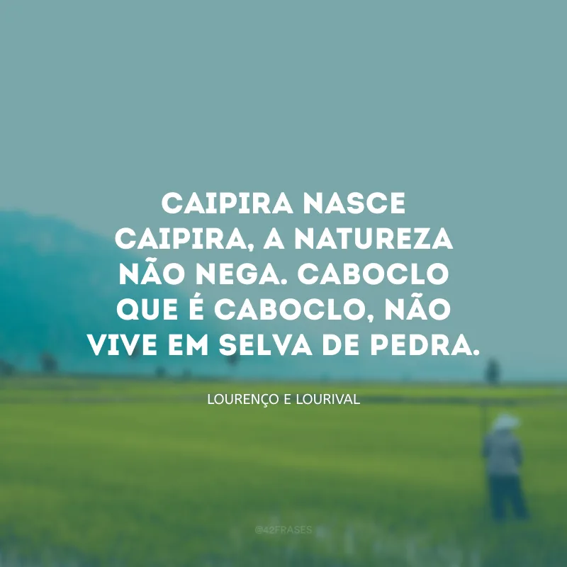 Caipira nasce caipira, a natureza não nega. Caboclo que é caboclo, não vive em selva de pedra.