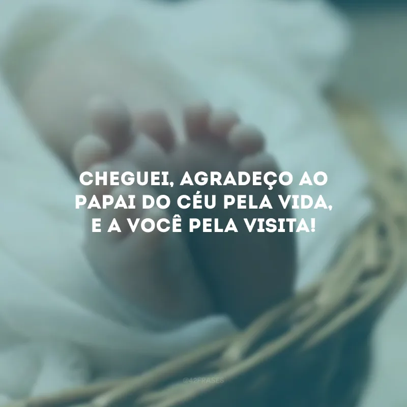 Cheguei, agradeço ao Papai do Céu pela vida, e a você pela visita!