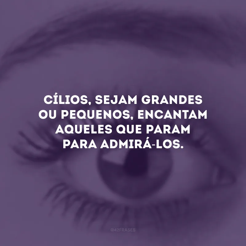 Cílios, sejam grandes ou pequenos, encantam aqueles que param para admirá-los.