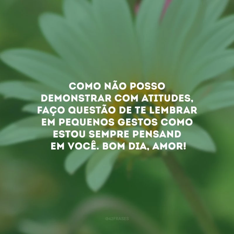 Como não posso demonstrar com atitudes, faço questão de te lembrar em pequenos gestos como estou sempre pensando em você. Bom dia, amor!