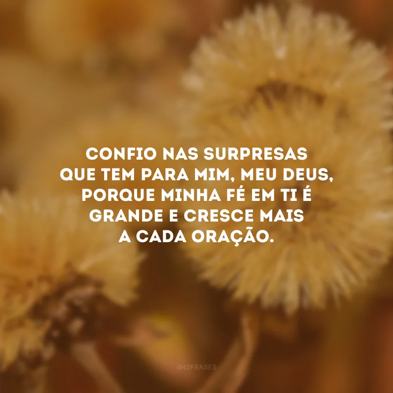 Confio nas surpresas que tem para mim, meu Deus, porque minha fé em Ti é grande e cresce mais a cada oração.