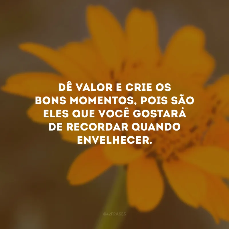 Dê valor e crie os bons momentos, pois são eles que você gostará de recordar quando envelhecer.