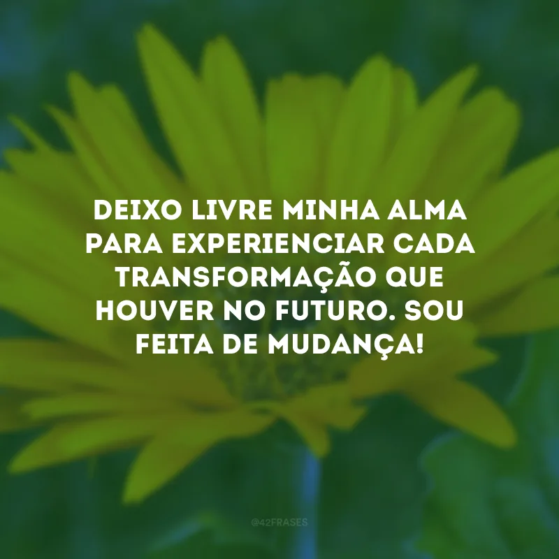 Deixo livre minha alma para experienciar cada transformação que houver no futuro. Sou feita de mudança! 