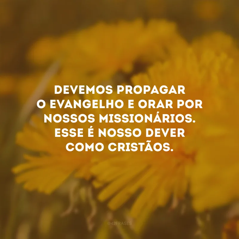 Devemos propagar o evangelho e orar por nossos missionários. Esse é nosso dever como cristãos.