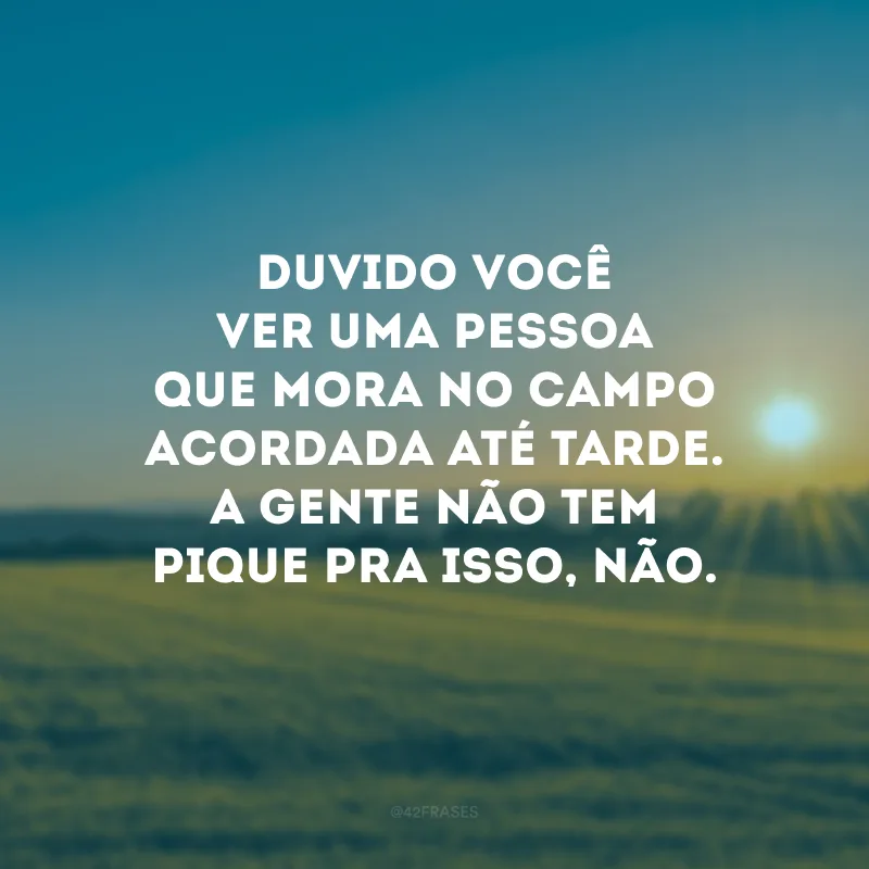 Duvido você ver uma pessoa que mora no campo acordada até tarde. A gente não tem pique pra isso, não.