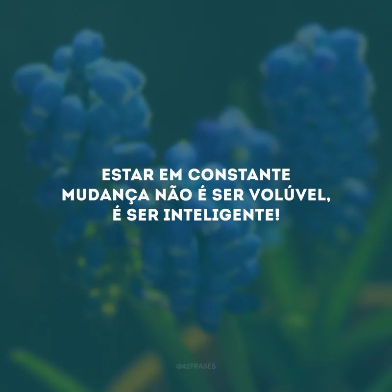Estar em constante mudança não é ser volúvel, é ser inteligente! 