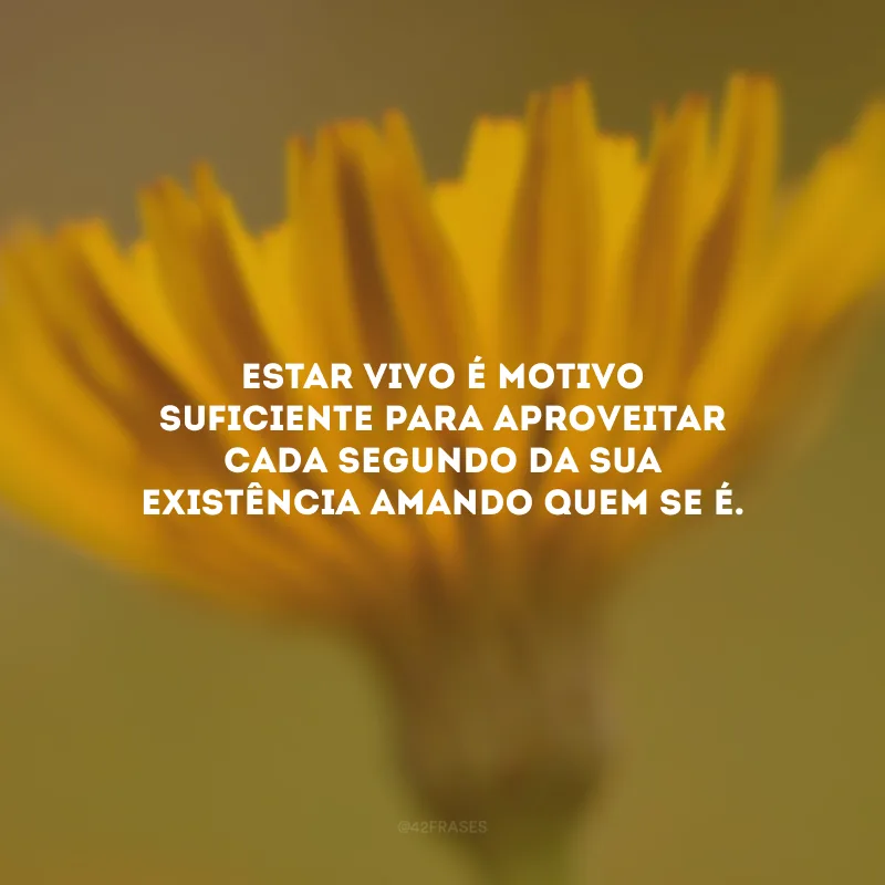 Estar vivo é motivo suficiente para aproveitar cada segundo da sua existência amando quem se é.