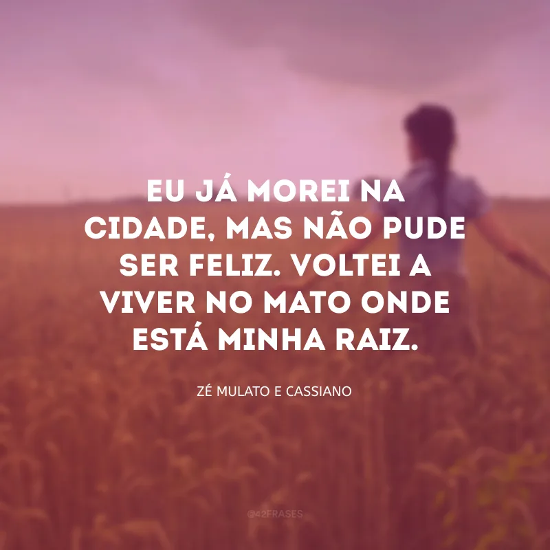 Eu já morei na cidade, mas não pude ser feliz. Voltei a viver no mato onde está minha raiz.