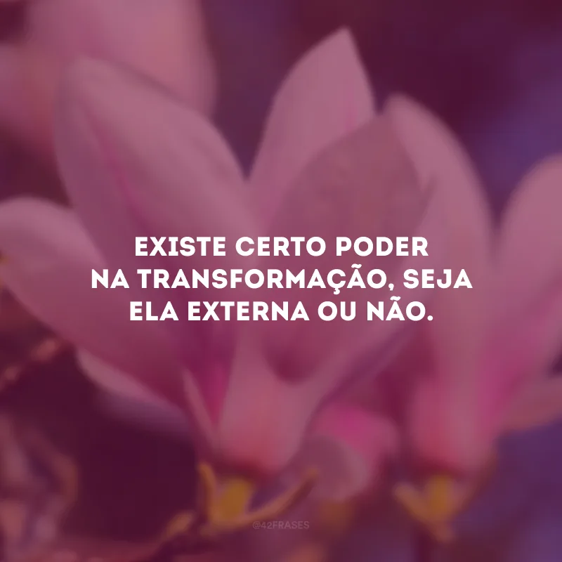 Existe certo poder na transformação, seja ela externa ou não. 