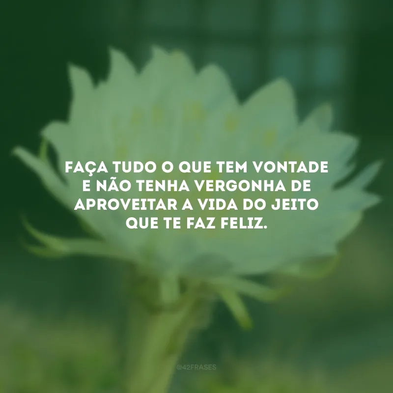 Faça tudo o que tem vontade e não tenha vergonha de aproveitar a vida do jeito que te faz feliz.