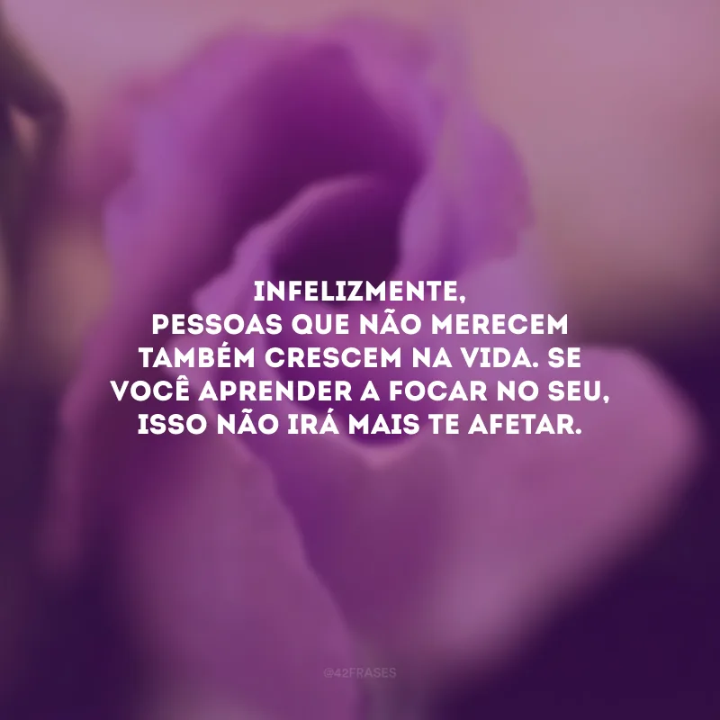 Infelizmente, pessoas que não merecem também crescem na vida. Se você aprender a focar no seu, isso não irá mais te afetar.