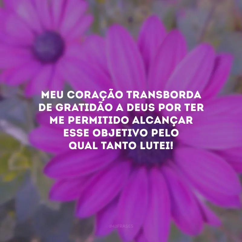 Meu coração transborda de gratidão a Deus por ter me permitido alcançar esse objetivo pelo qual tanto lutei!