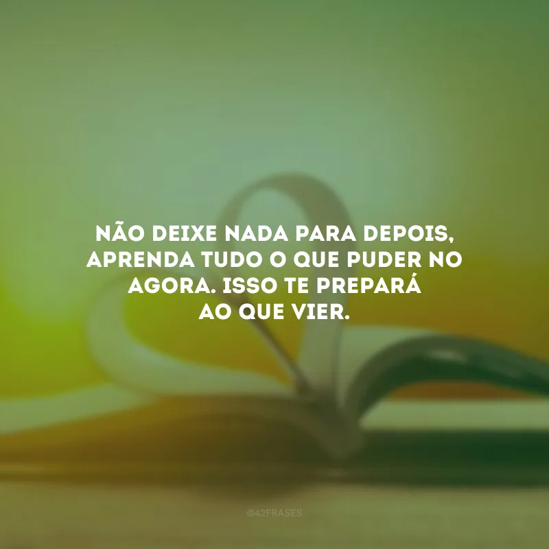 Não deixe nada para depois, aprenda tudo o que puder no agora. Isso te prepará ao que vier.