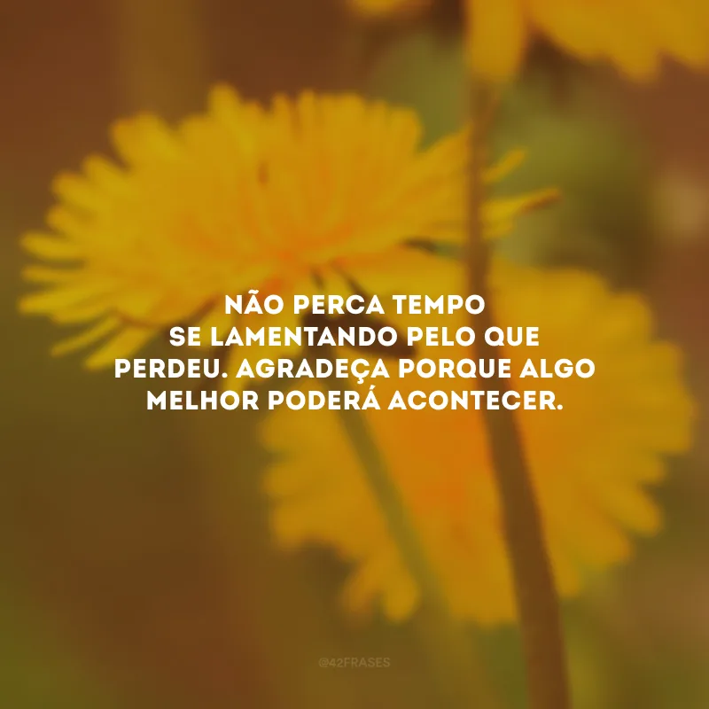 Não perca tempo se lamentando pelo que perdeu. Agradeça porque algo melhor poderá acontecer.