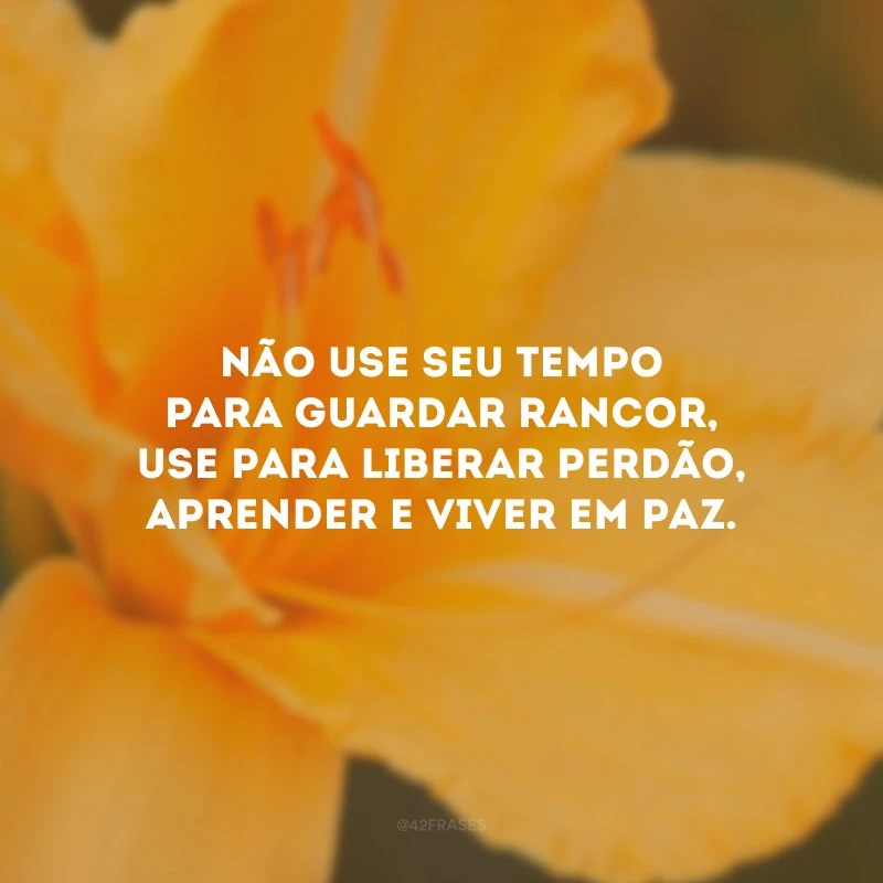 Não use seu tempo para guardar rancor, use para liberar perdão, aprender e viver em paz.