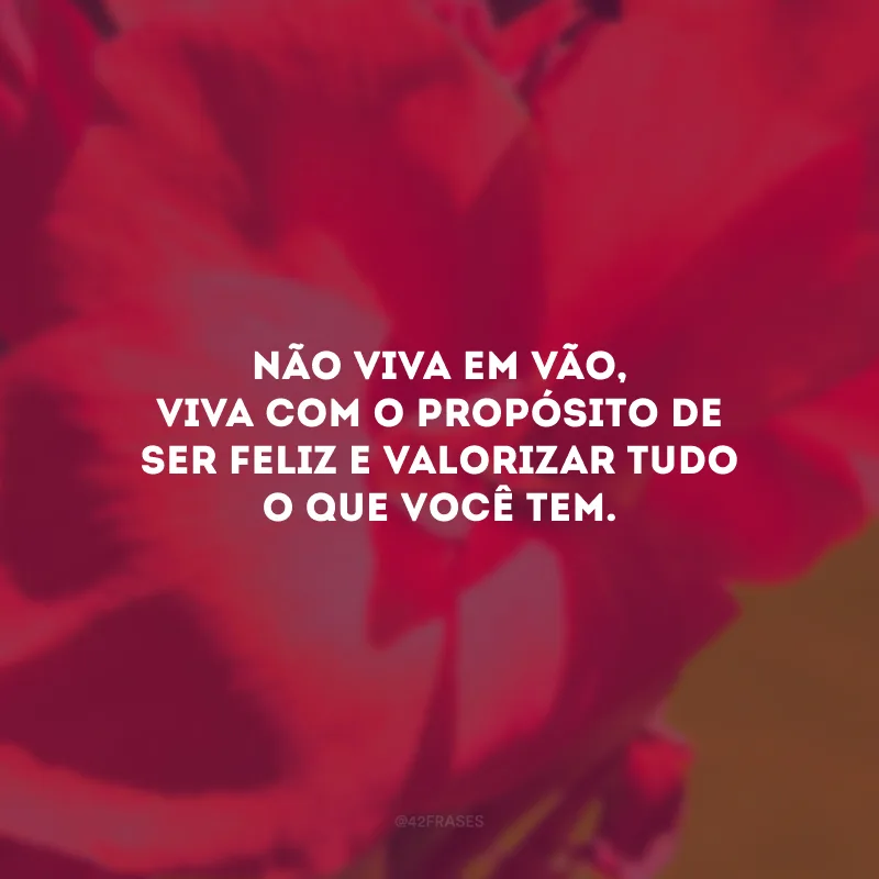 Não viva em vão, viva com o propósito de ser feliz e valorizar tudo o que você tem.