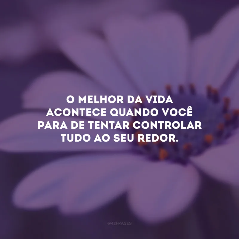 O melhor da vida acontece quando você para de tentar controlar tudo ao seu redor.