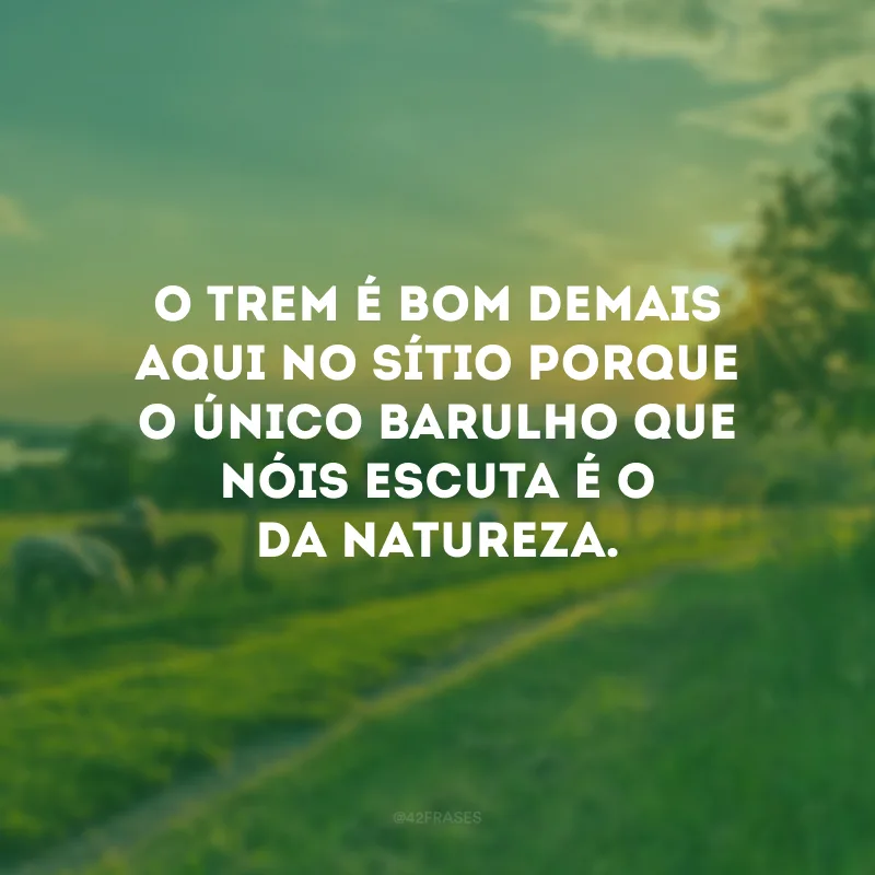 O trem é bom demais aqui no sítio porque o único barulho que nóis escuta é o da natureza.