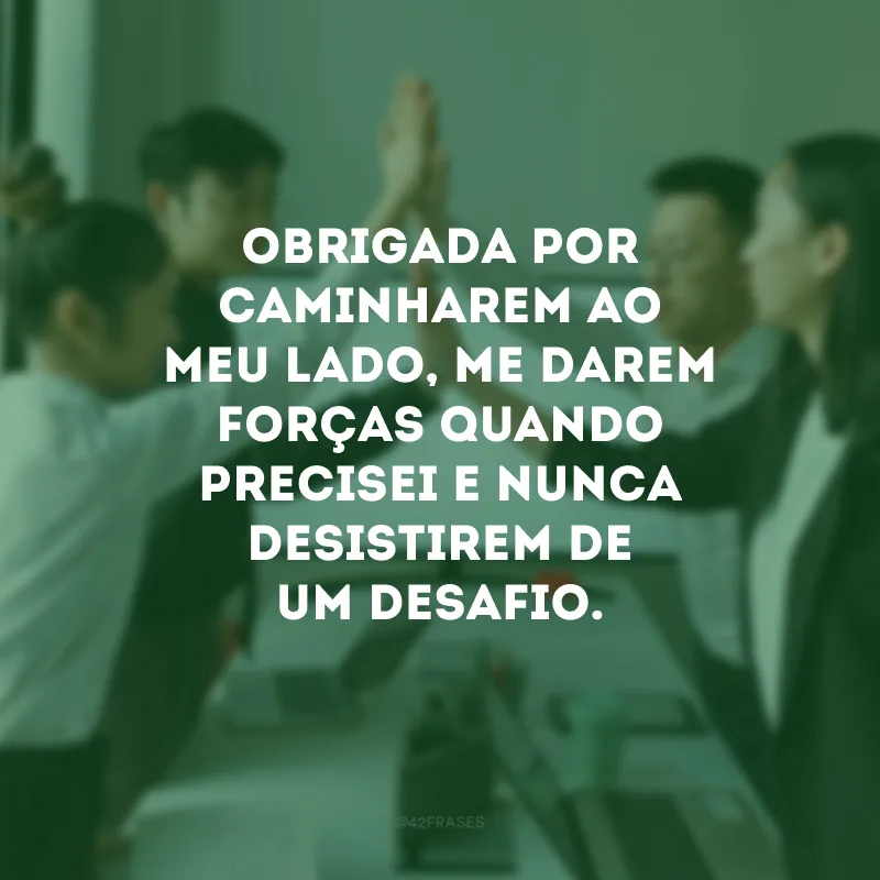 Obrigada por caminharem ao meu lado, me darem forças quando precisei e nunca desistirem de um desafio.