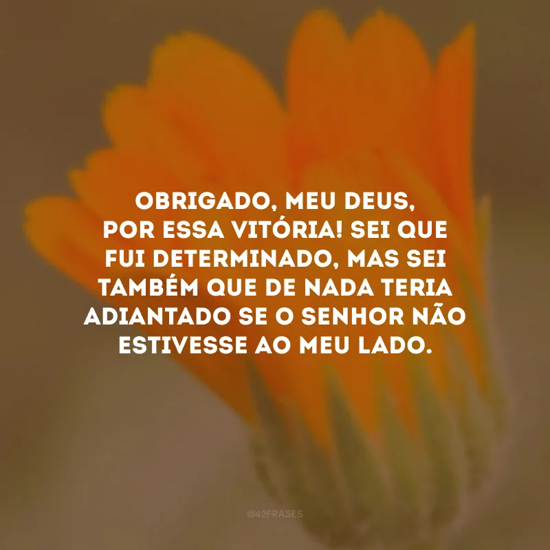 Obrigado, meu Deus, por essa vitória! Sei que fui determinado, mas sei também que de nada teria adiantado se o Senhor não estivesse ao meu lado.