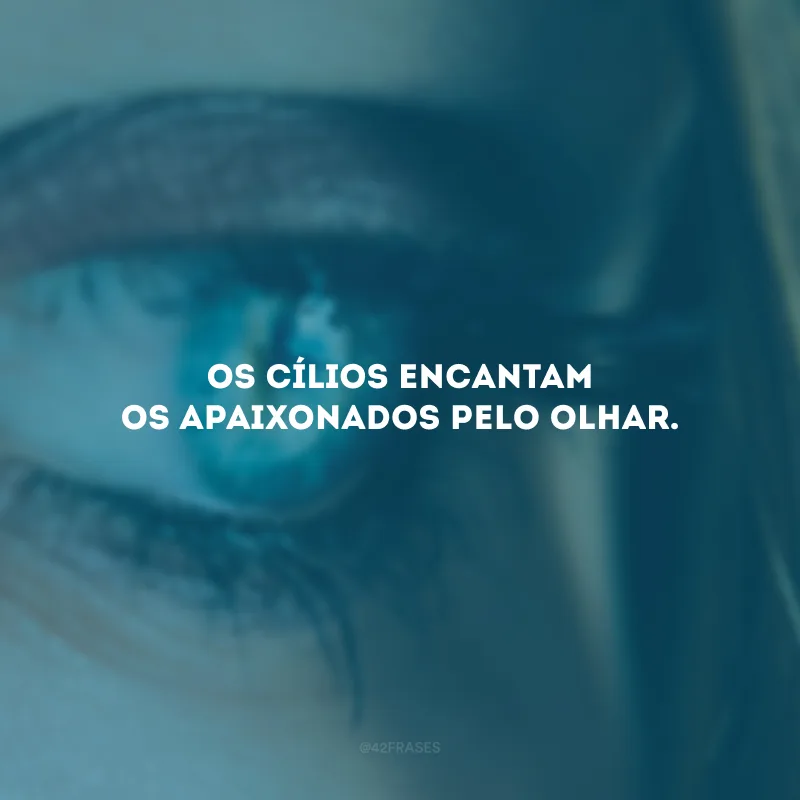 Os cílios encantam os apaixonados pelo olhar.