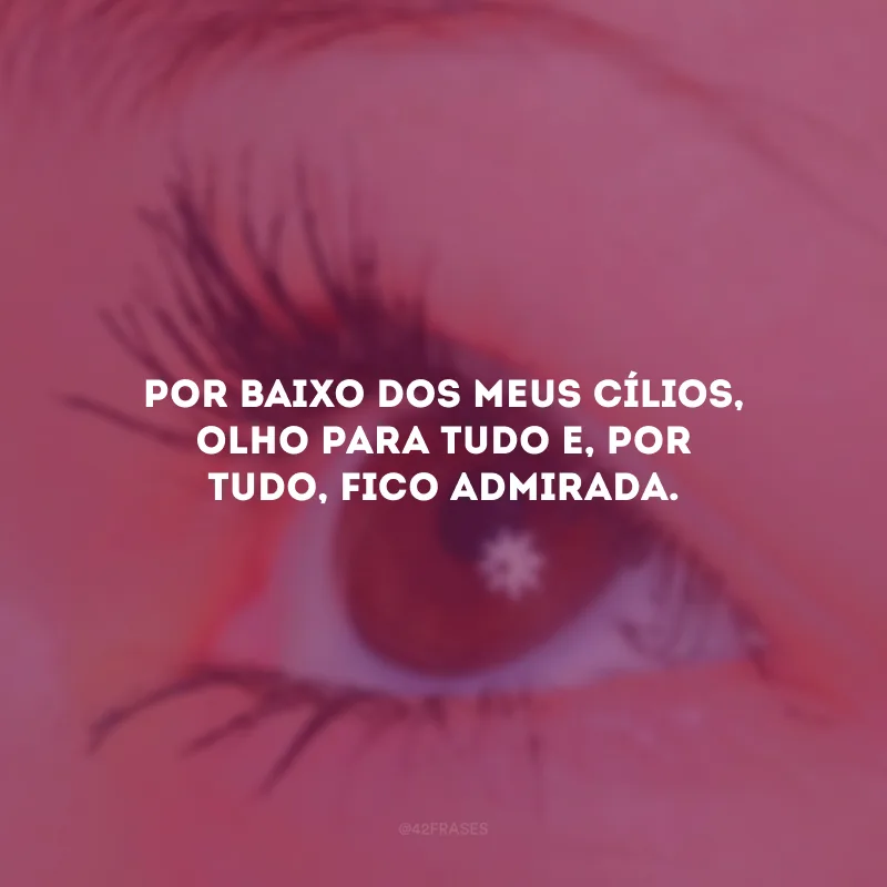 Por baixo dos meus cílios, olho para tudo e, por tudo, fico admirada.