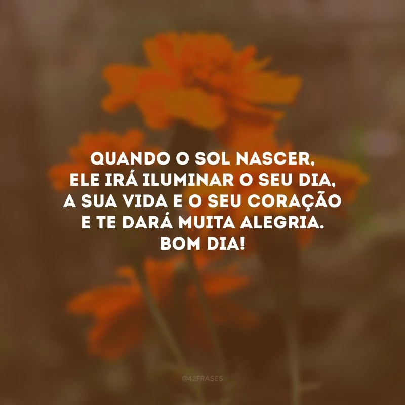 Quando o sol nascer, ele irá iluminar o seu dia, a sua vida e o seu coração e te dará muita alegria. Bom dia!