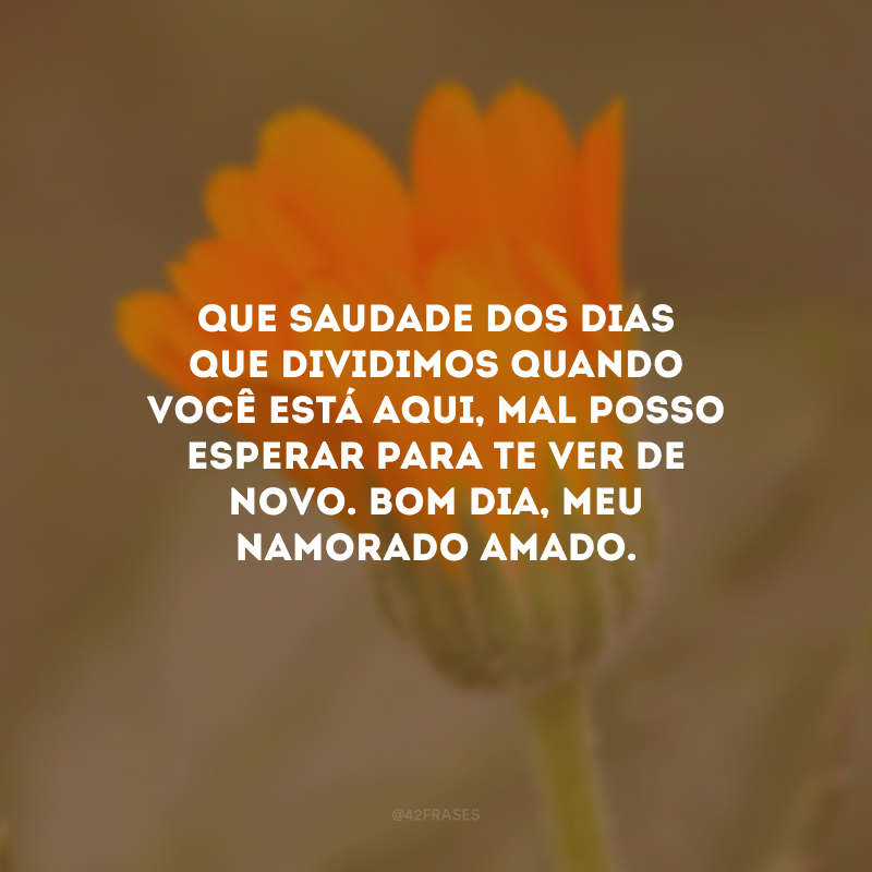 Que saudade dos dias que dividimos quando você está aqui, mal posso esperar para te ver de novo. Bom dia, meu namorado amado.
