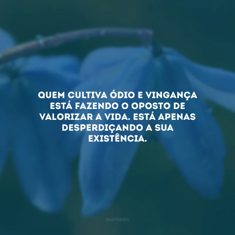 Quem cultiva ódio e vingança está fazendo o oposto de valorizar a vida. Está apenas desperdiçando a sua existência.