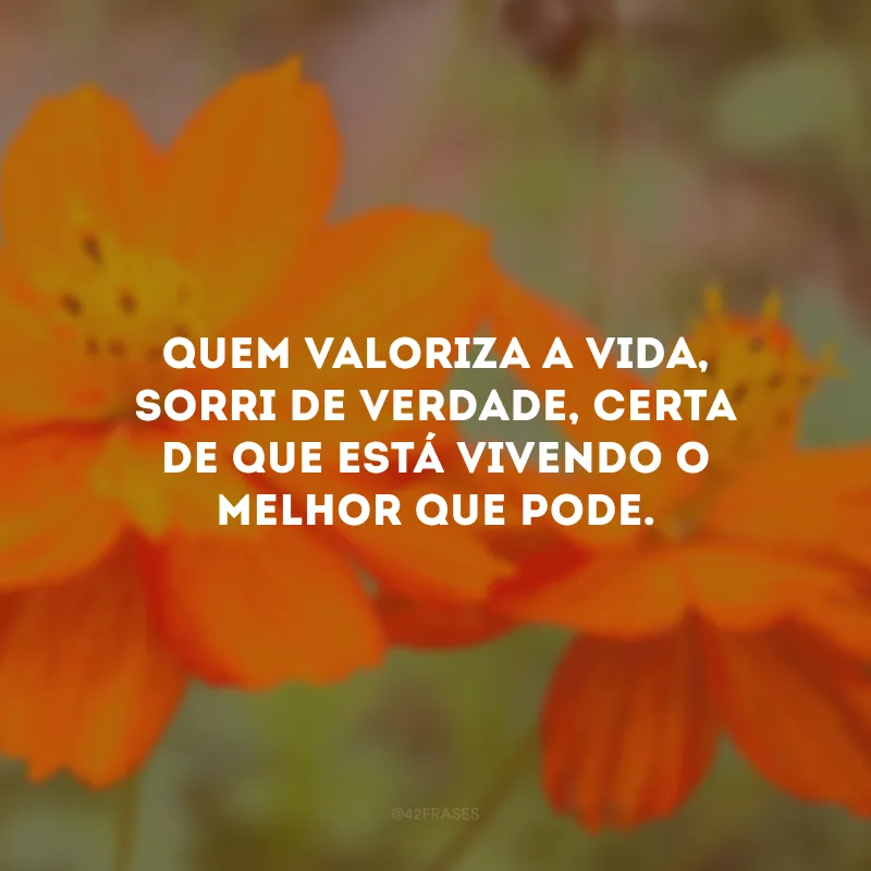 Quem valoriza a vida, sorri de verdade, certa de que está vivendo o melhor que pode.