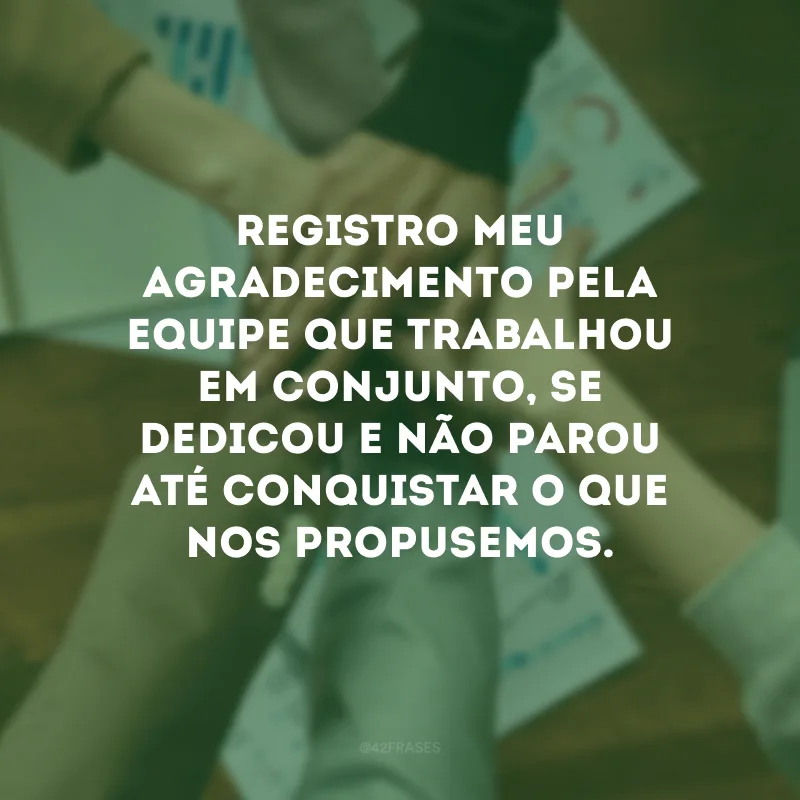 Registro meu agradecimento pela equipe que trabalhou em conjunto, se dedicou e não parou até conquistar o que nos propusemos.