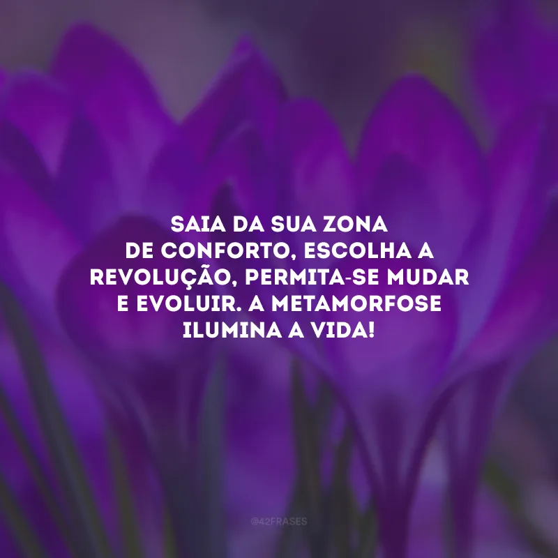Saia da sua zona de conforto, escolha a revolução, permita-se mudar e evoluir. A metamorfose ilumina a vida! 