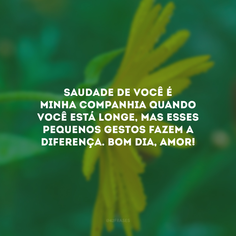 Saudade de você é minha companhia quando você está longe, mas esses pequenos gestos fazem a diferença. Bom dia, amor!